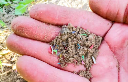 Microplastics,In,Sand.,Soil,Contaminated,With,Microplastics.,Micro,Waste,In