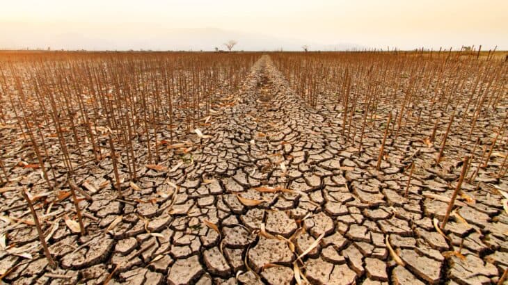 2024/04/1200-year-record-breaking-megadrought-ravages-US.jpeg