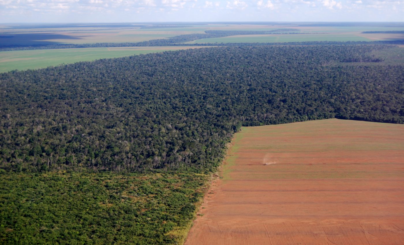 Trade war between the US and China may prompt Amazon deforestation