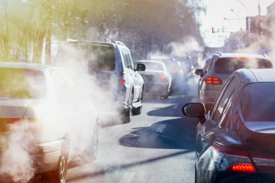 Traffic pollution impairs brain network connectivity •
