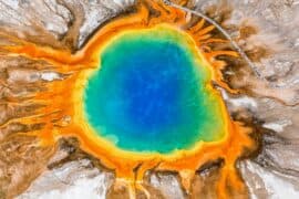 2024/05/Yellowstone-giant-virus2.jpg