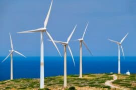 2024/05/wind-farms-achieve-carbon-neutrality-in-under-two-years-study-finds.jpg
