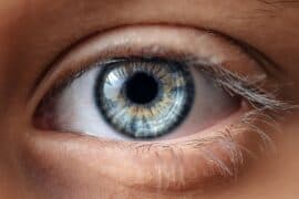2024/04/eye-research-reveals-clues-to-color-perception.jpg