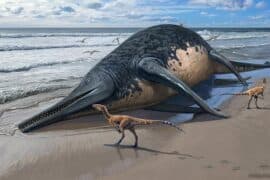 2024/04/Giant-ichthyosaur.jpg