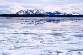 Reflection,In,Frozen,Yellowstone,Lake