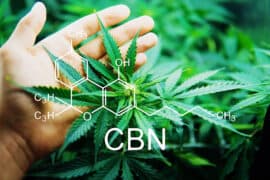 Cbn,Cannabinoloil,And,Marijuana.,Formula,Cannabis,.,Weed,Decriminalization,.
