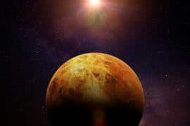 2024/04/Venus-life.jpg