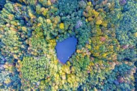 Aerial,View.,Wild,Forest,Lake,In,Russia,,Caucasus.