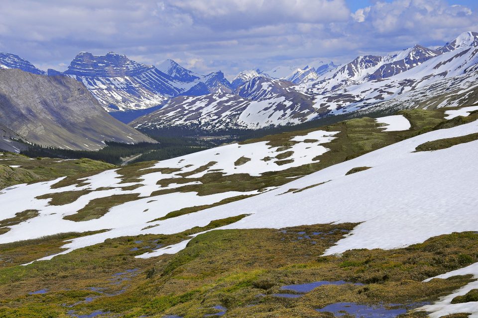 Spring snow in the Rockies