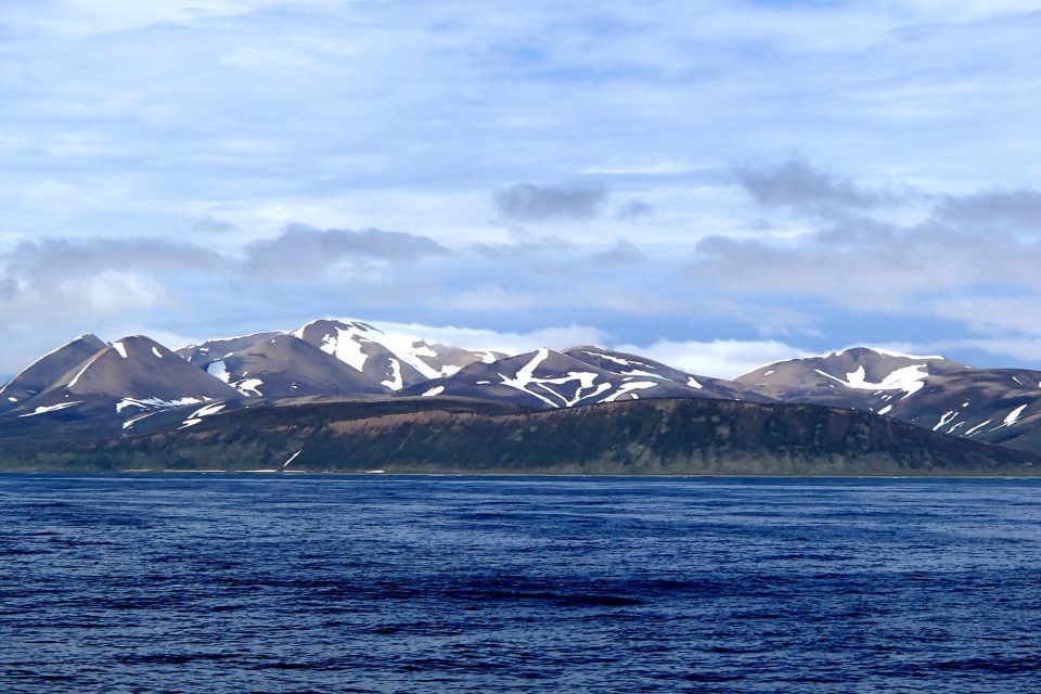 Commander Islands
