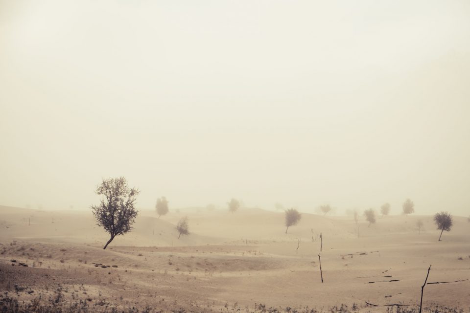 Dust Storm in Pakistan and India