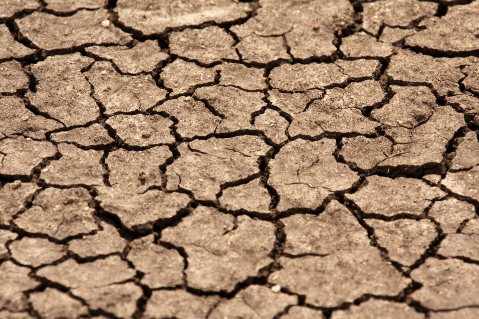 Drought on the Serengeti Plain