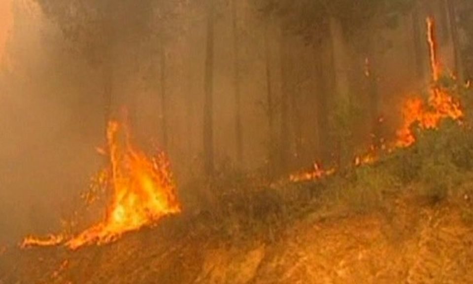Fires in South America