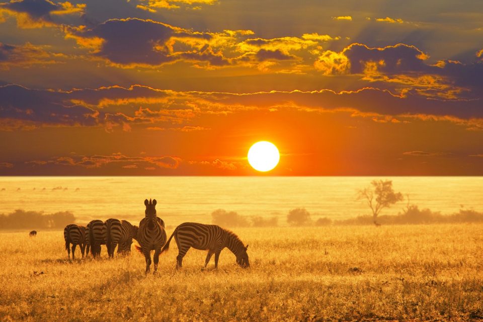 Etosha National Park in Namibia