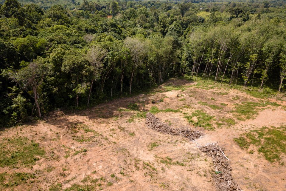 Deforestation in Mato Grosso Brazil