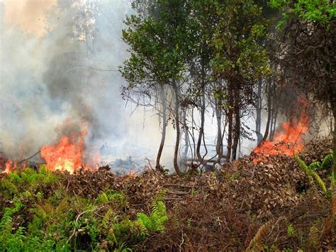 Fires across Southeast Asia