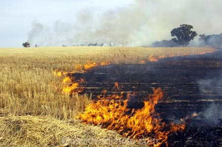 Smoke from agricultural fires in Western India
