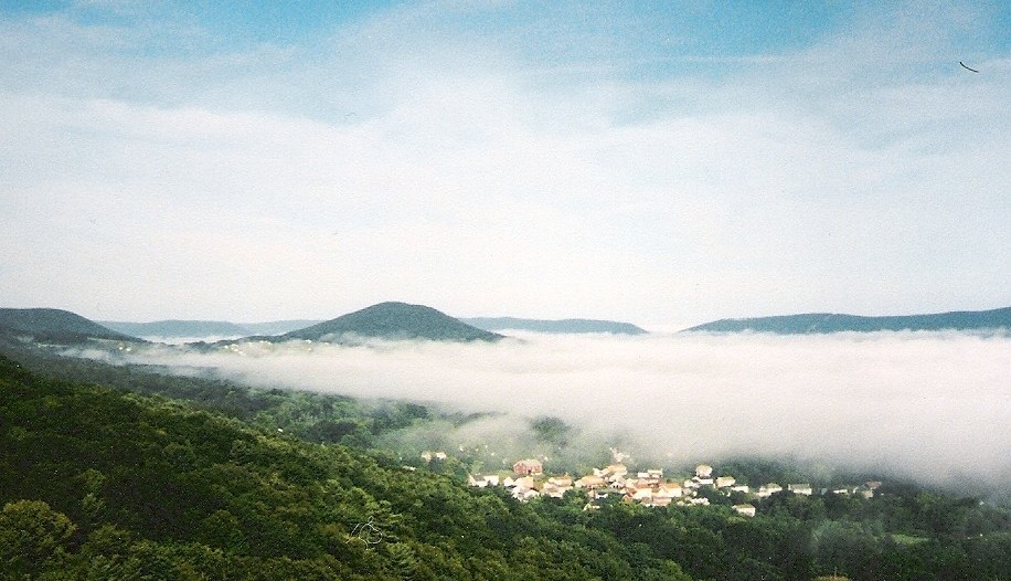 Fog in California