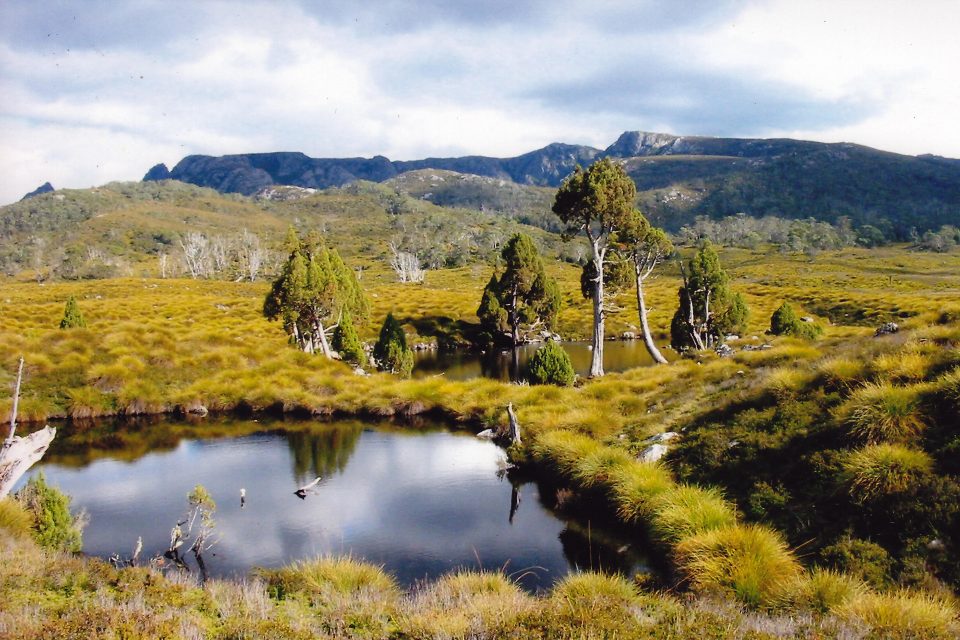 Tasmania