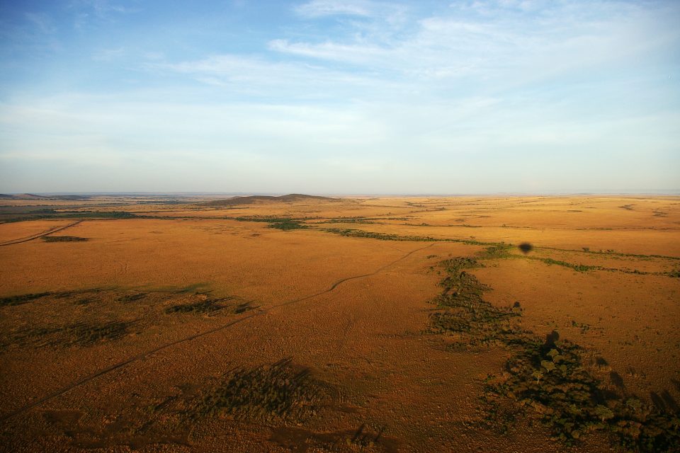 Serengeti
