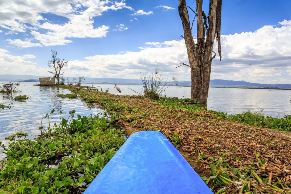 Lake Naivasha, Kenya