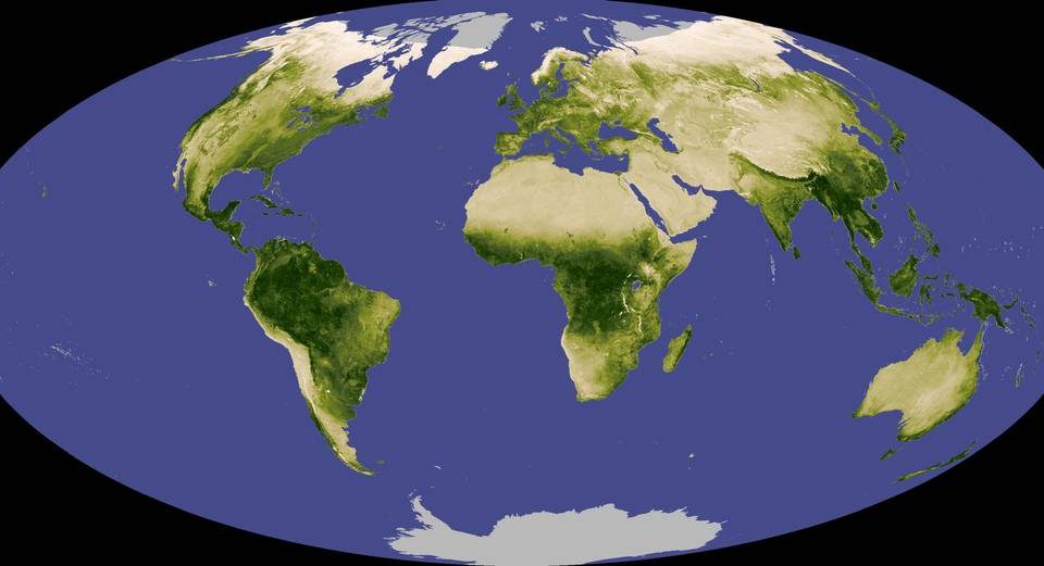 Global Vegetation
