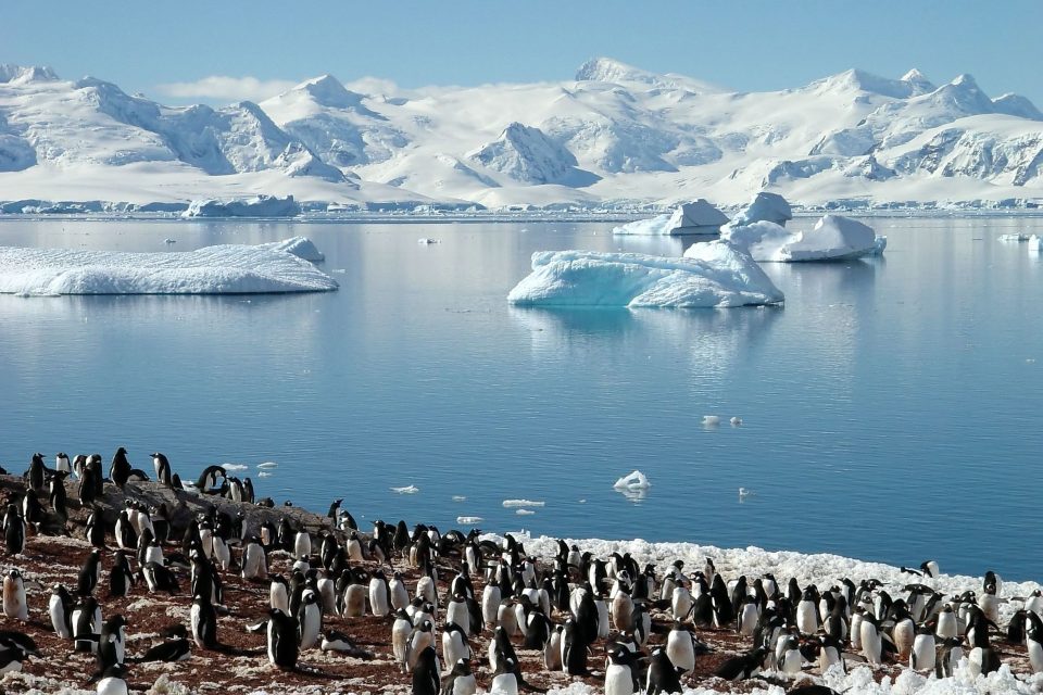 Antarctica and Sea Ice