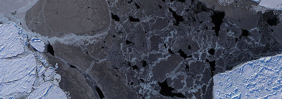 Mosaic of Lead in the Sea Ice