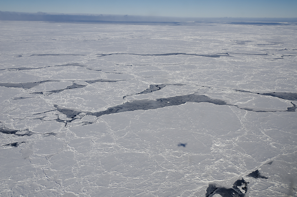 Sea Ice in Bellingshausen Sea