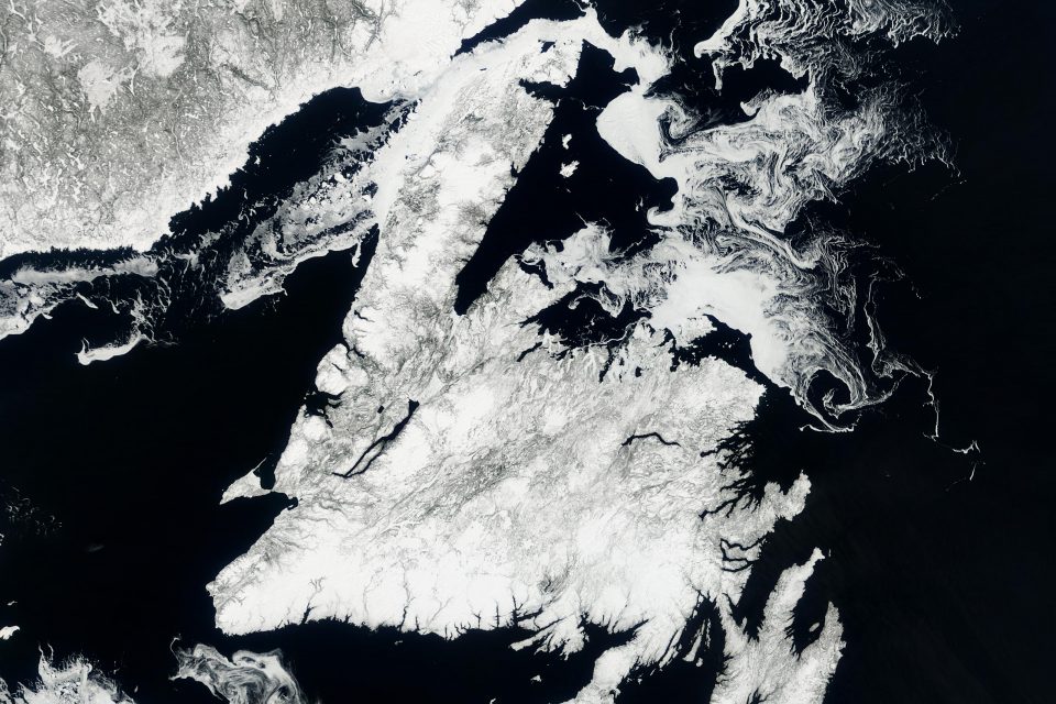 Newfoundland
