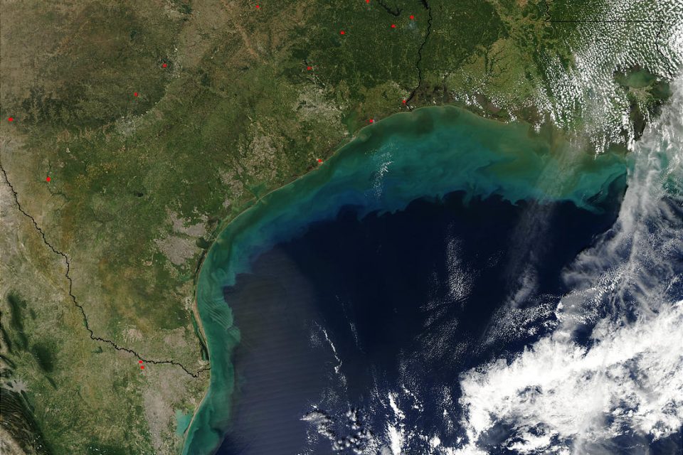 Sediments in Gulf of Mexico