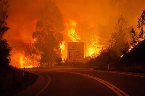 Forest Fires in Portugal