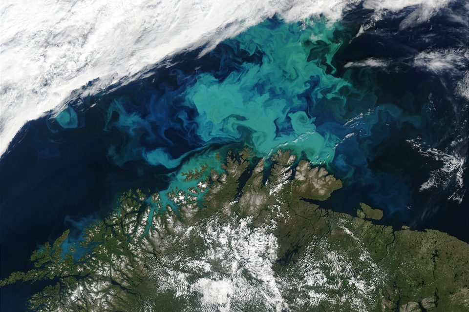 Phytoplankton Bloom off Norway