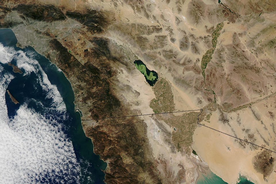 Algal Bloom in the Salton Sea, California