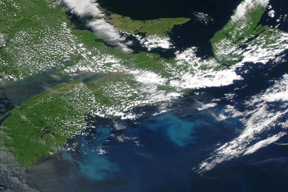 Phytoplankton Bloom off Nova Scotia
