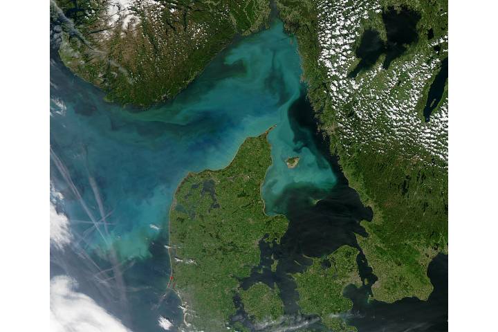 Phytoplankton Bloom off Denmark