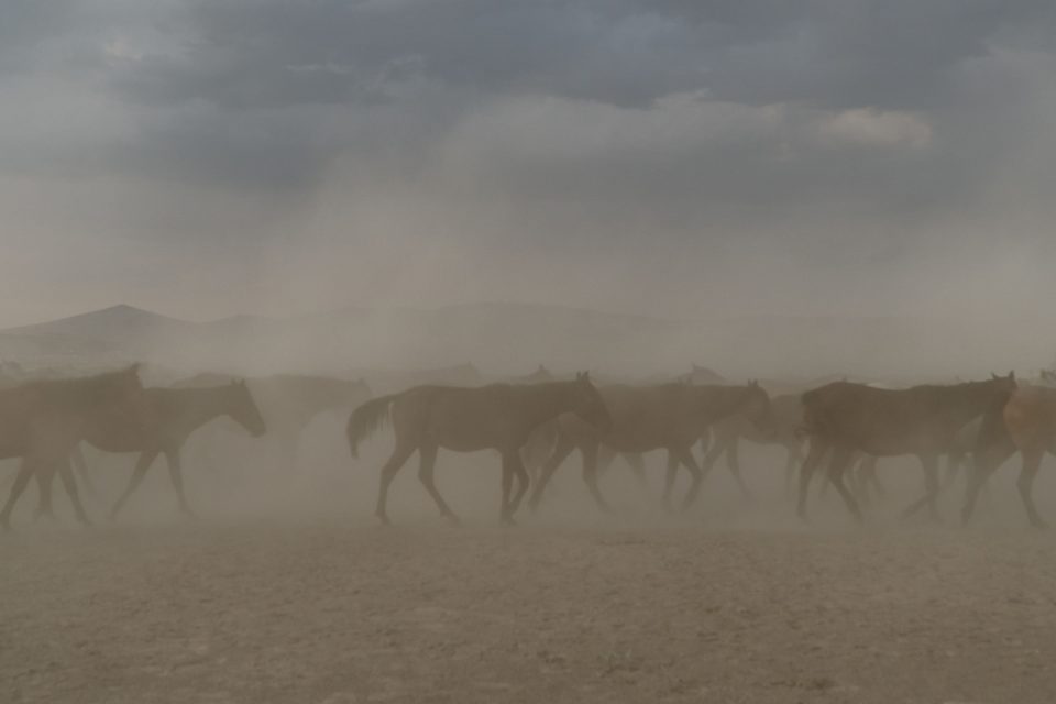 Dust Storm in Taklimakan