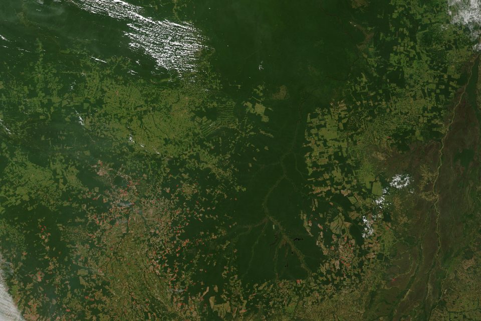Fires Across Mato Grosso, Brazil