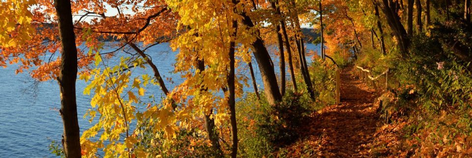 Fall Colors Around the Great Lakes