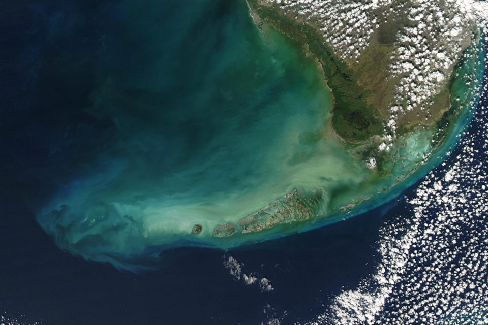 The Florida Keys