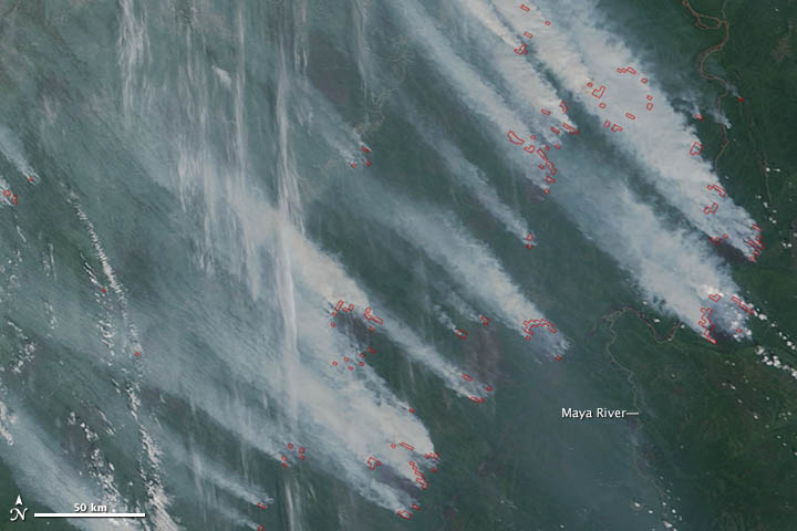 Fires in Western Russia