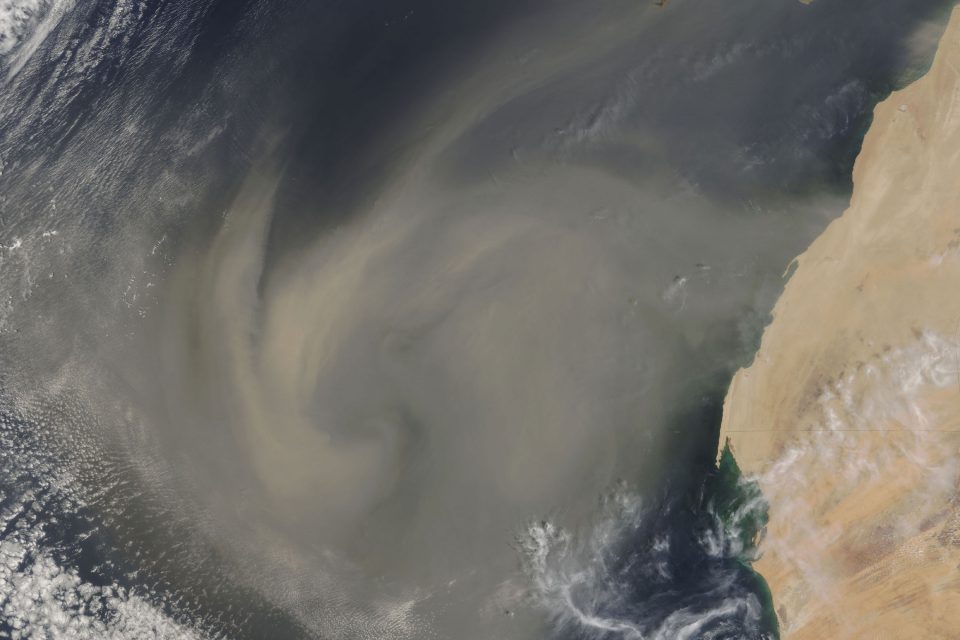 Dust Storm Across Central and West Africa