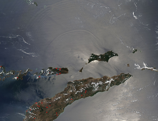 Internal Waves in the Celebes and Banda Seas