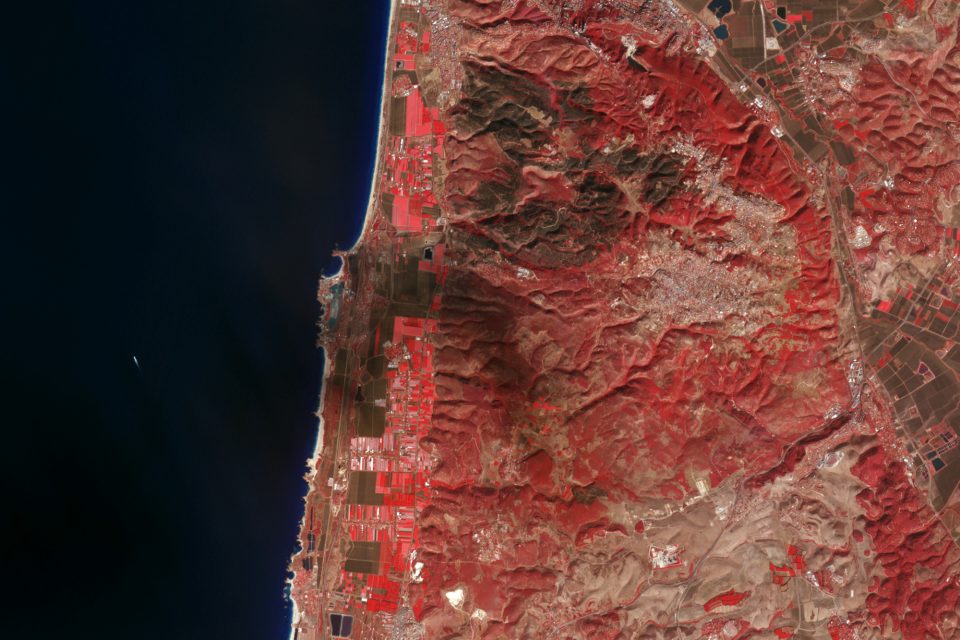 Deadly Forest Fire in Northern Isreal