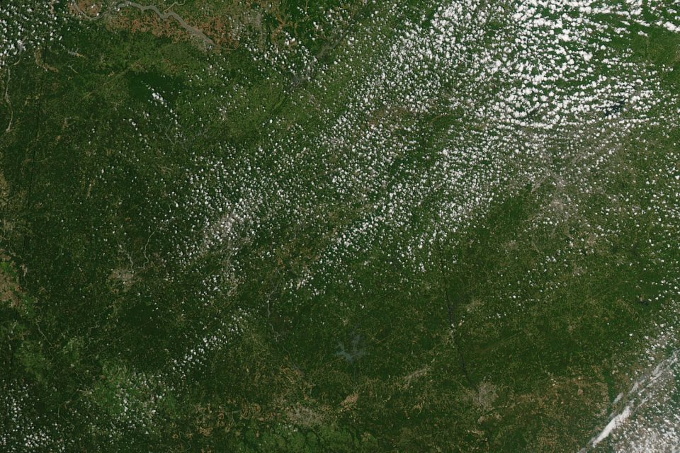 Tornado Tracks in Tuscaloosa, Alabama