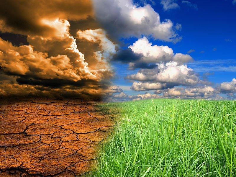 US Youths Are Suing The Government Over Climate Change