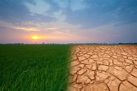 UN: Climate Change Will Be Detrimental To World