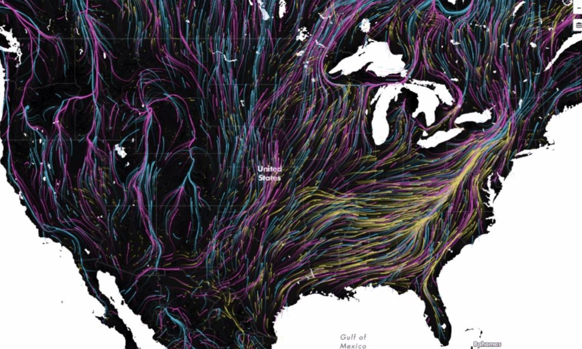 New map shows where climate change will force animals to move