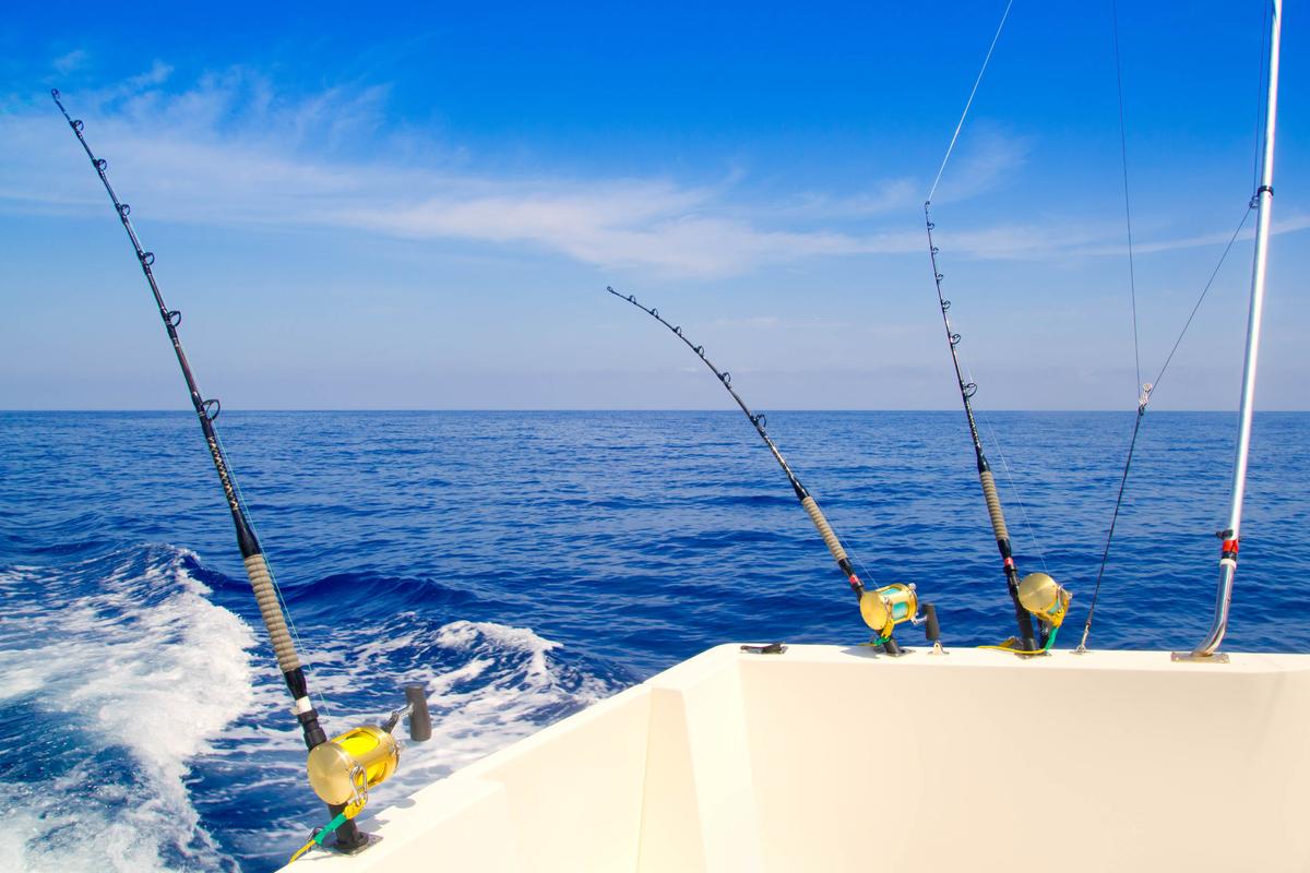 Study: Banning high seas fishing would help coastal fishermen