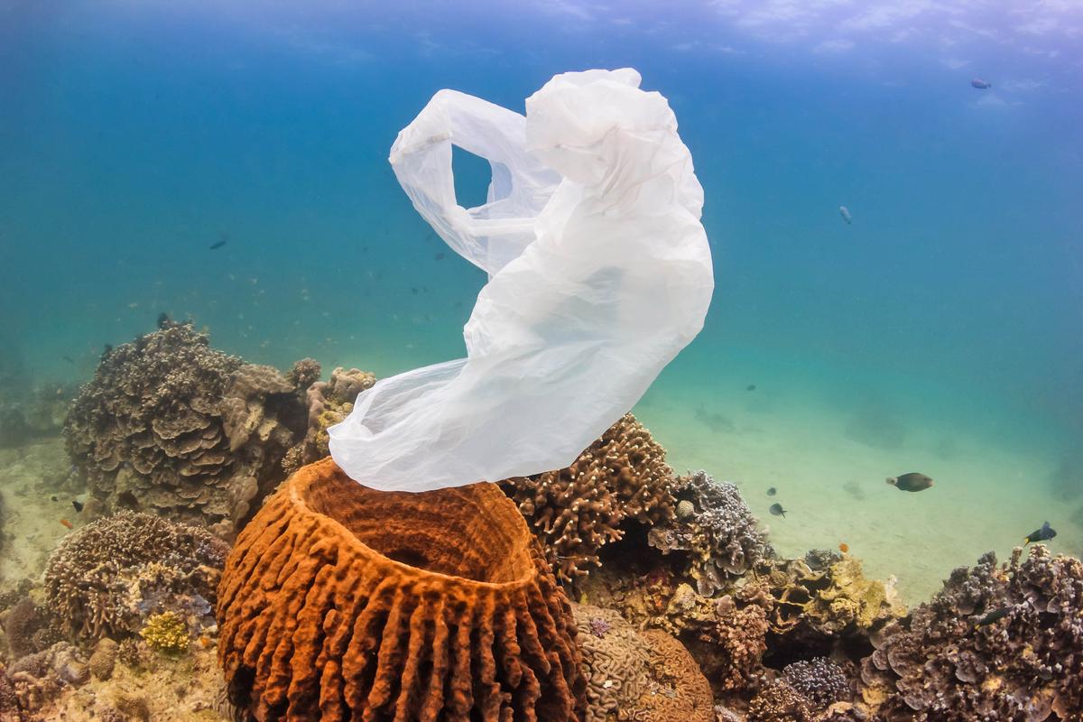 Scientists find plastic in the most remote parts of the ocean